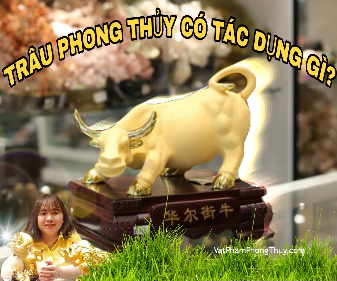 [Video] Ep80 - Tác dụng của việc bài trí trâu trong phong thủy [Tỉ Tỉ Chuyện Phong Thủy]