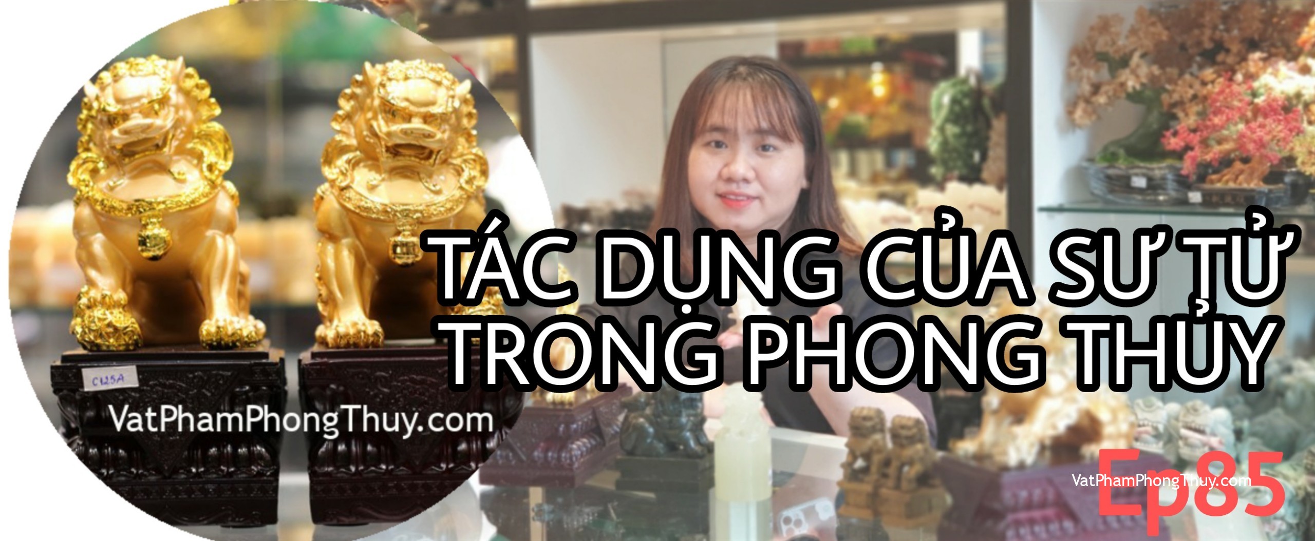 [Video] Ep85- Tìm cặp sư tử phong thủy độc đáo trưng bày tăng cường quyền lực và trấn trạch hưng gia [Tỉ Tỉ Chuyện Phong Thủy]