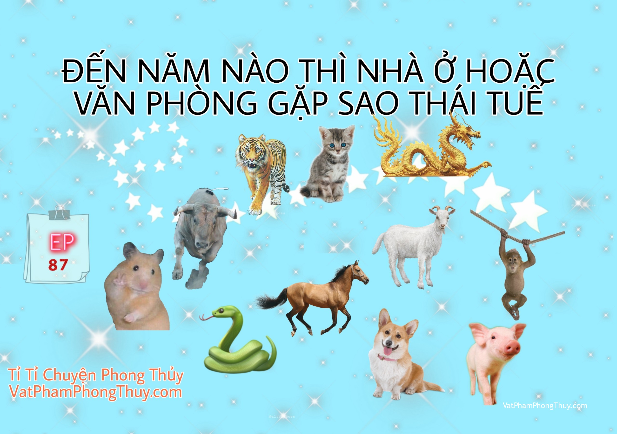 [Video] Ep87- Đến năm nào thì nhà ở hoặc văn phòng bị sao Thái Tuế? [Tỉ Tỉ Chuyện Phong Thủy]