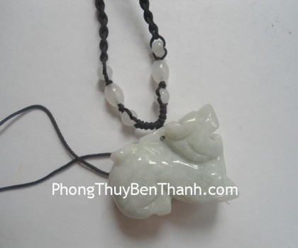 ty-huu-dung-duoi-tien-s690-02